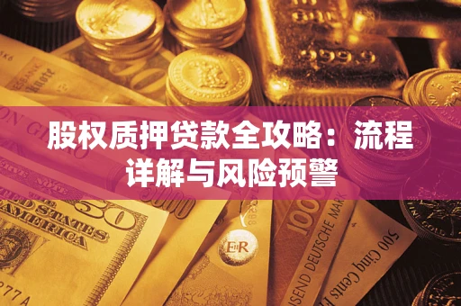 北京股权质押贷款全攻略：流程详解与风险预警